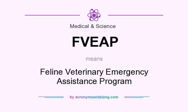 What does FVEAP mean? It stands for Feline Veterinary Emergency Assistance Program