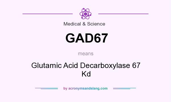 What does GAD67 mean? It stands for Glutamic Acid Decarboxylase 67 Kd