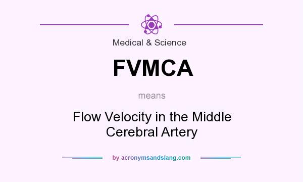 What does FVMCA mean? It stands for Flow Velocity in the Middle Cerebral Artery