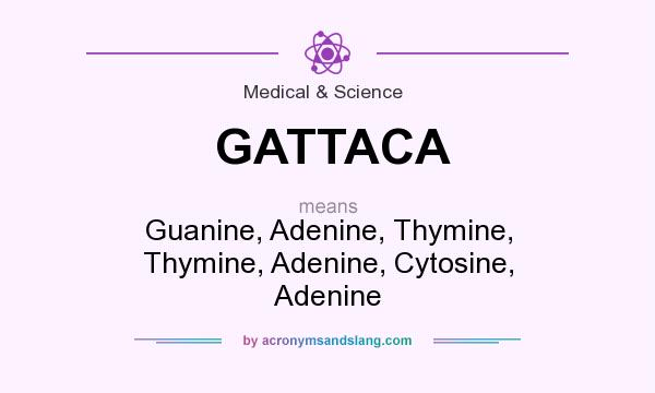 What does GATTACA mean? It stands for Guanine, Adenine, Thymine, Thymine, Adenine, Cytosine, Adenine
