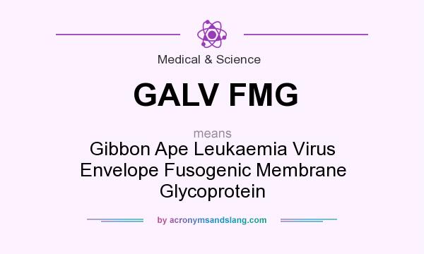 What does GALV FMG mean? It stands for Gibbon Ape Leukaemia Virus Envelope Fusogenic Membrane Glycoprotein