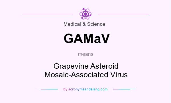 What does GAMaV mean? It stands for Grapevine Asteroid Mosaic-Associated Virus