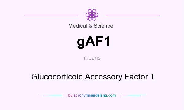What does gAF1 mean? It stands for Glucocorticoid Accessory Factor 1