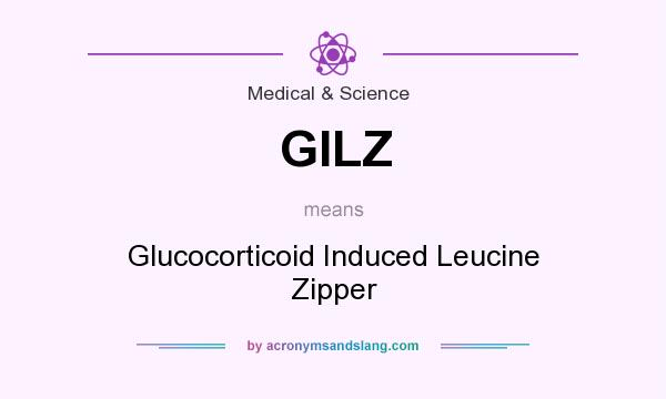 What does GILZ mean? It stands for Glucocorticoid Induced Leucine Zipper