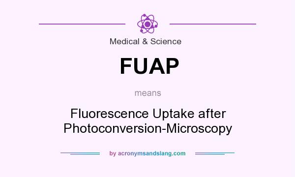 What does FUAP mean? It stands for Fluorescence Uptake after Photoconversion-Microscopy