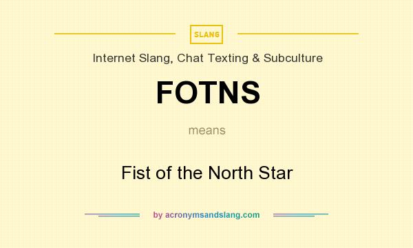 What does FOTNS mean? It stands for Fist of the North Star