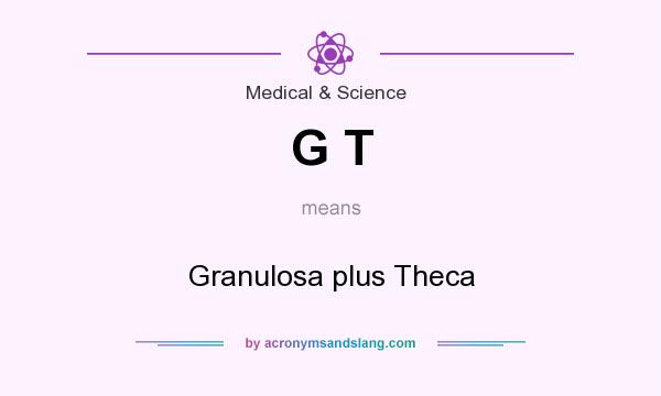 What does G T mean? It stands for Granulosa plus Theca