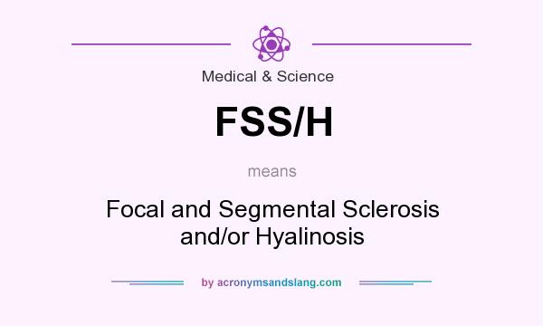 What does FSS/H mean? It stands for Focal and Segmental Sclerosis and/or Hyalinosis