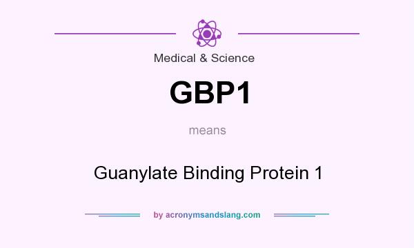 What does GBP1 mean? It stands for Guanylate Binding Protein 1
