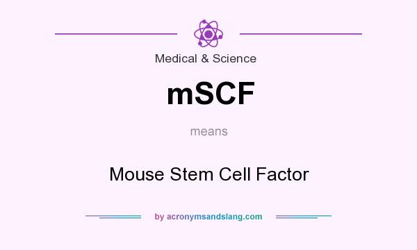 What does mSCF mean? It stands for Mouse Stem Cell Factor