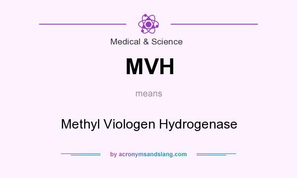 What does MVH mean? It stands for Methyl Viologen Hydrogenase