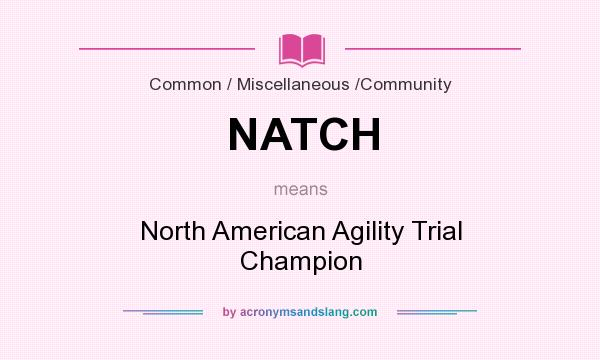 What does NATCH mean? It stands for North American Agility Trial Champion