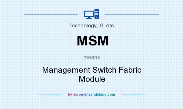 What does MSM mean? It stands for Management Switch Fabric Module