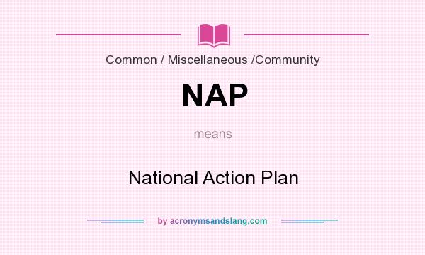 What does NAP mean? It stands for National Action Plan