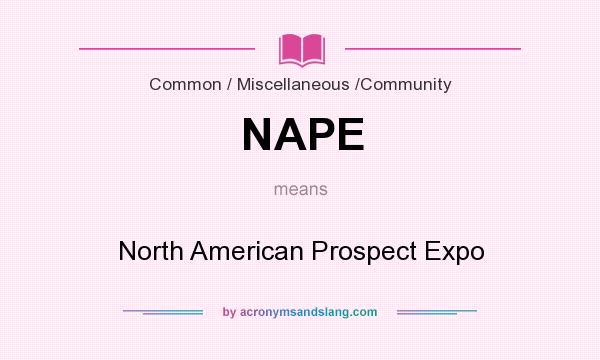 What does NAPE mean? It stands for North American Prospect Expo