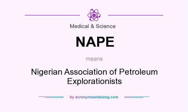 What does NAPE mean? It stands for Nigerian Association of Petroleum Explorationists