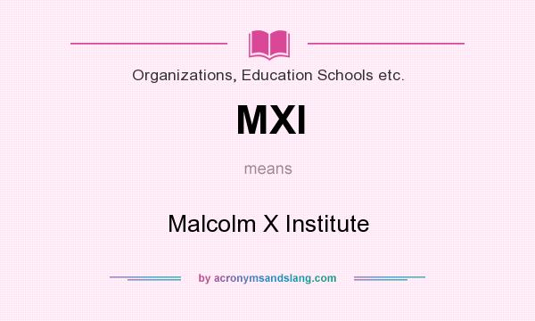 What does MXI mean? It stands for Malcolm X Institute