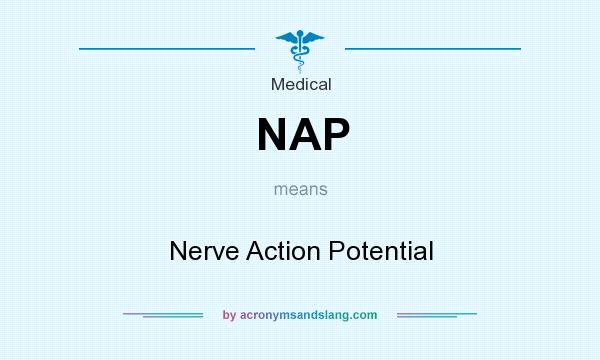 What does NAP mean? It stands for Nerve Action Potential