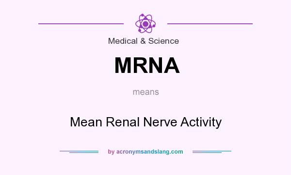 What does MRNA mean? It stands for Mean Renal Nerve Activity