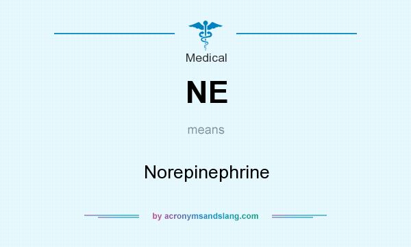 What does NE mean? It stands for Norepinephrine