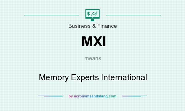 What does MXI mean? It stands for Memory Experts International