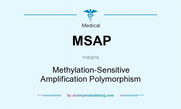 What does MSAP mean? It stands for Methylation-Sensitive Amplification Polymorphism