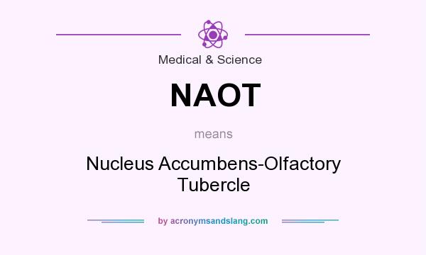 What does NAOT mean? It stands for Nucleus Accumbens-Olfactory Tubercle