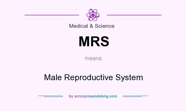 What does MRS mean? It stands for Male Reproductive System