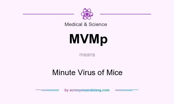What does MVMp mean? It stands for Minute Virus of Mice