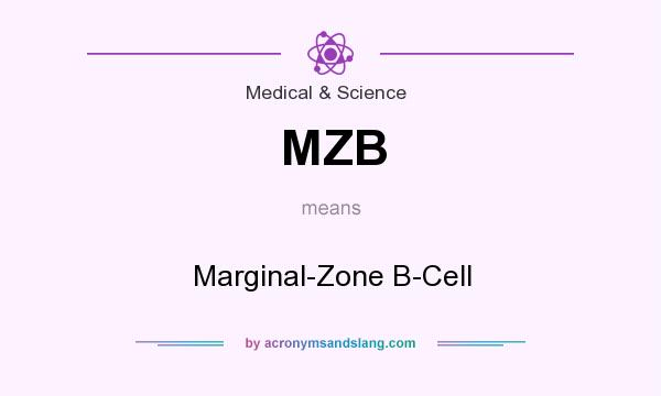 What does MZB mean? It stands for Marginal-Zone B-Cell