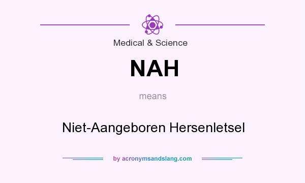 What does NAH mean? It stands for Niet-Aangeboren Hersenletsel