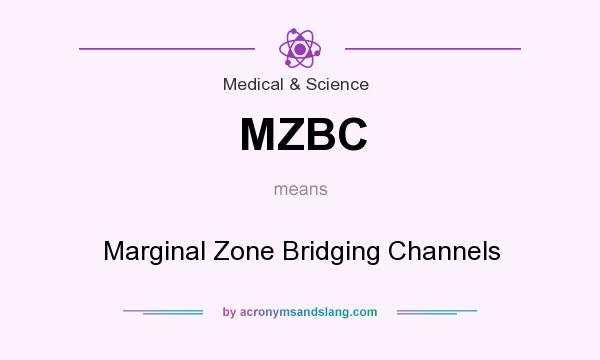 What does MZBC mean? It stands for Marginal Zone Bridging Channels