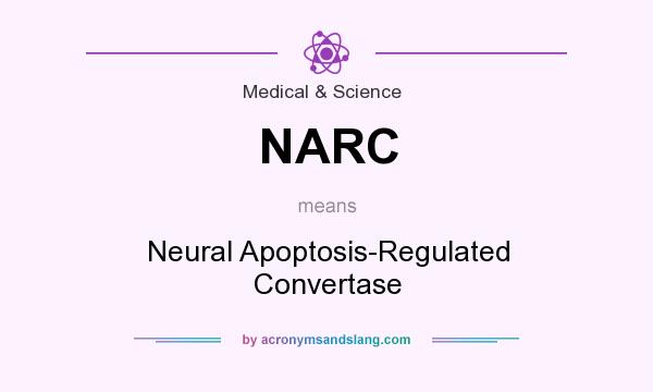 What does NARC mean? It stands for Neural Apoptosis-Regulated Convertase