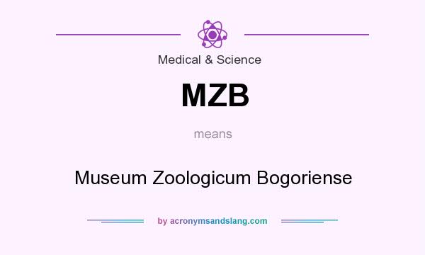 What does MZB mean? It stands for Museum Zoologicum Bogoriense