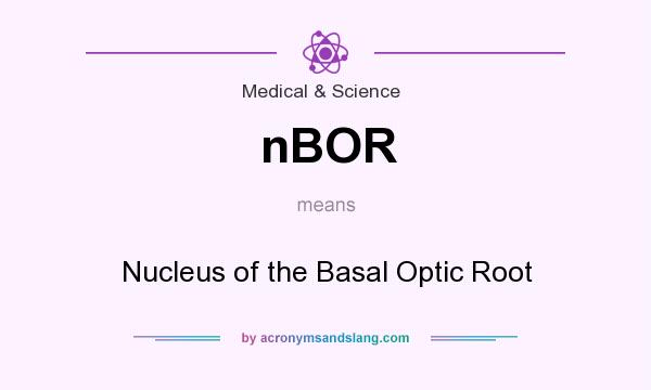 What does nBOR mean? It stands for Nucleus of the Basal Optic Root