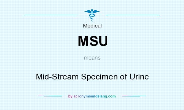 What does MSU mean? It stands for Mid-Stream Specimen of Urine