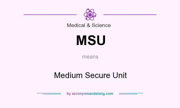 What does MSU mean? It stands for Medium Secure Unit