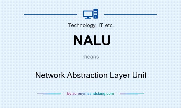 What does NALU mean? It stands for Network Abstraction Layer Unit