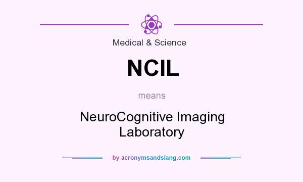 What does NCIL mean? It stands for NeuroCognitive Imaging Laboratory