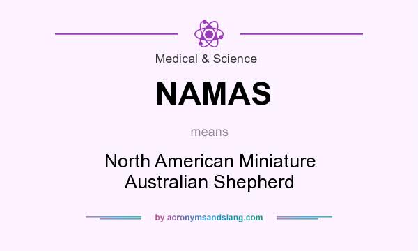 What does NAMAS mean? It stands for North American Miniature Australian Shepherd
