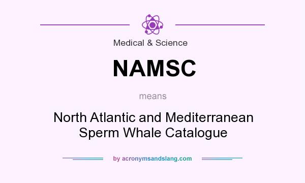 What does NAMSC mean? It stands for North Atlantic and Mediterranean Sperm Whale Catalogue