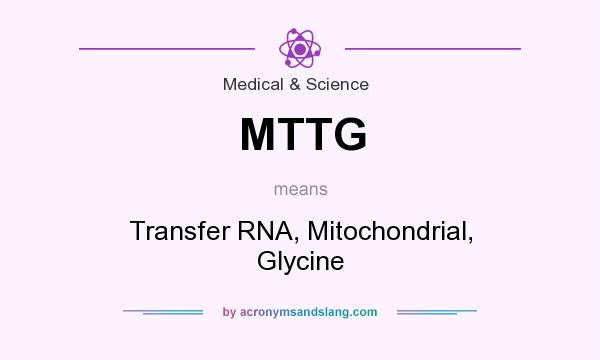 What does MTTG mean? It stands for Transfer RNA, Mitochondrial, Glycine