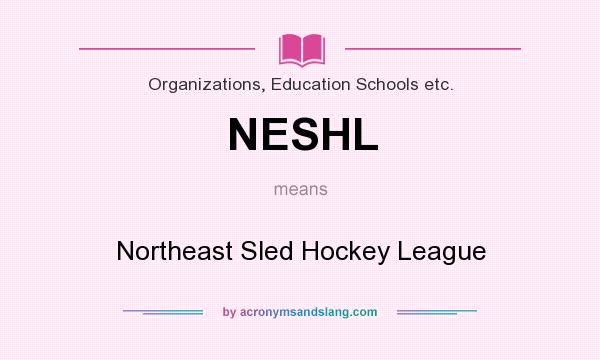 What does NESHL mean? It stands for Northeast Sled Hockey League