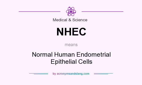 What does NHEC mean? It stands for Normal Human Endometrial Epithelial Cells