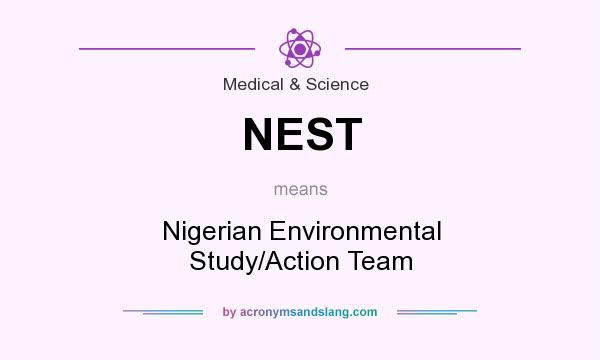 What does NEST mean? It stands for Nigerian Environmental Study/Action Team