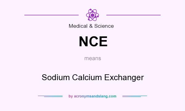 What does NCE mean? It stands for Sodium Calcium Exchanger