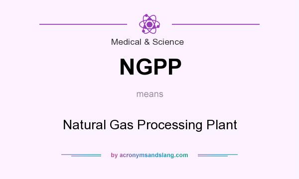 What does NGPP mean? It stands for Natural Gas Processing Plant