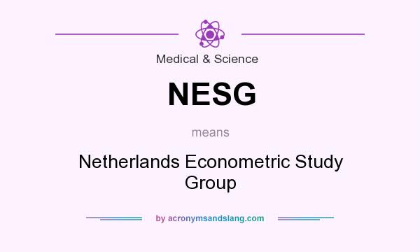 What does NESG mean? It stands for Netherlands Econometric Study Group