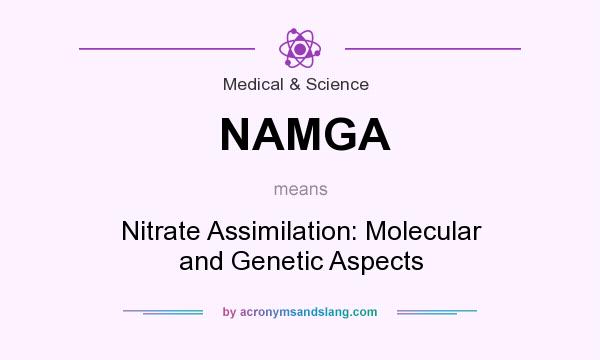 What does NAMGA mean? It stands for Nitrate Assimilation: Molecular and Genetic Aspects