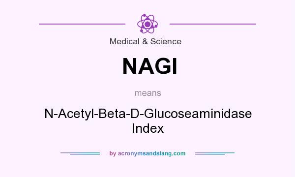 What does NAGI mean? It stands for N-Acetyl-Beta-D-Glucoseaminidase Index
